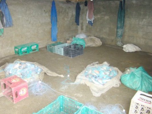 Poliţiştii Gărzii de Coastă au descins la un braconier